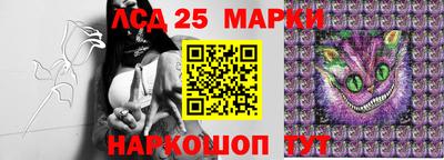 тгк Жуковский